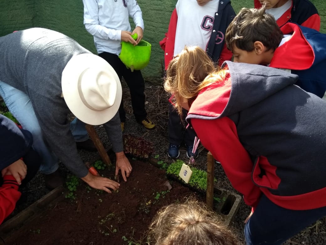 Semana do Meio Ambiente II