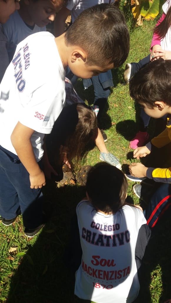 2° ano A. Prof° Carol - Jabutis