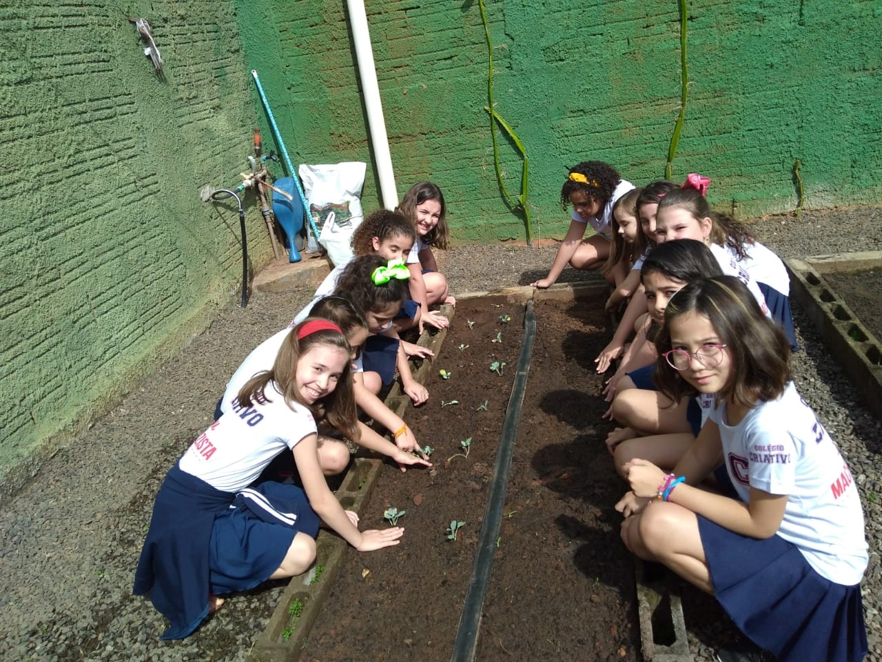 3° ano A. Prof° Ana - Horta